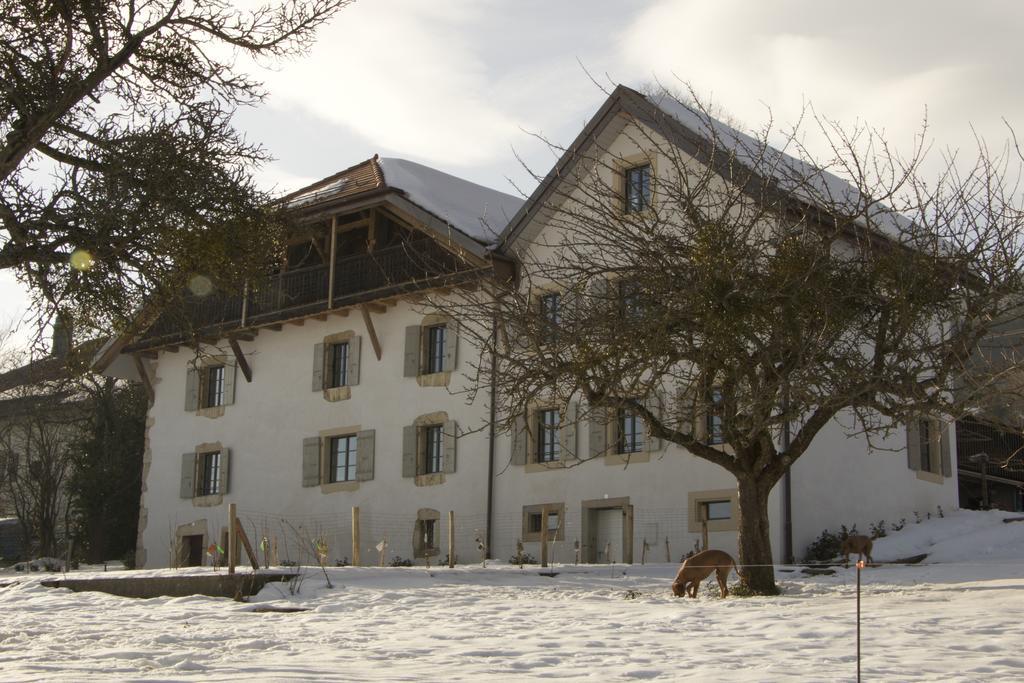 La Ferme De La Praz B&B Eksteriør billede