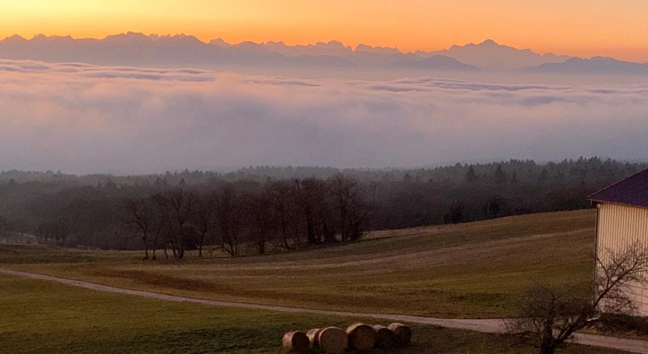 La Ferme De La Praz B&B Eksteriør billede